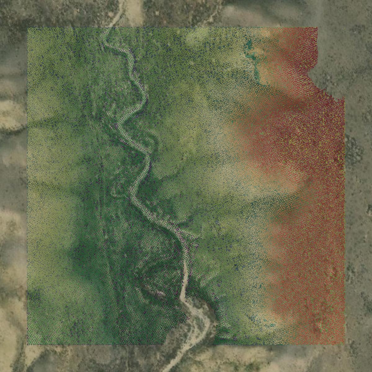 This image shows a LiDAR point cloud in Hot Springs County created using GIS data in Equator.