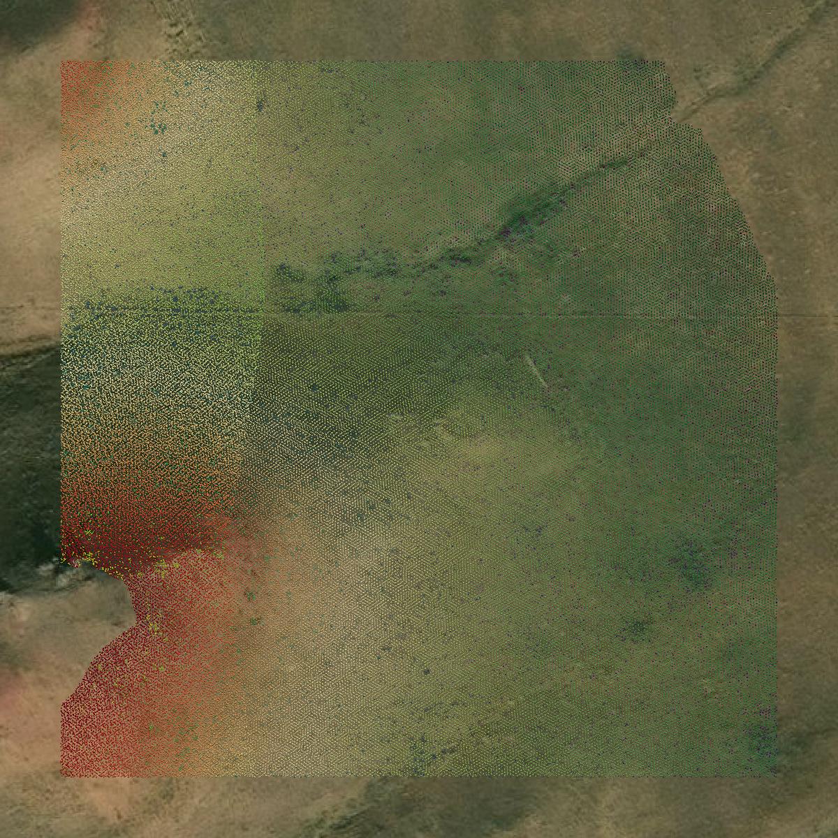 This image shows a LiDAR point cloud in Johnson County created using GIS data in Equator.