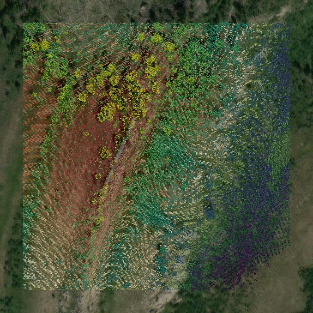 This image shows a LiDAR point cloud in Lincoln County created using GIS data in Equator.