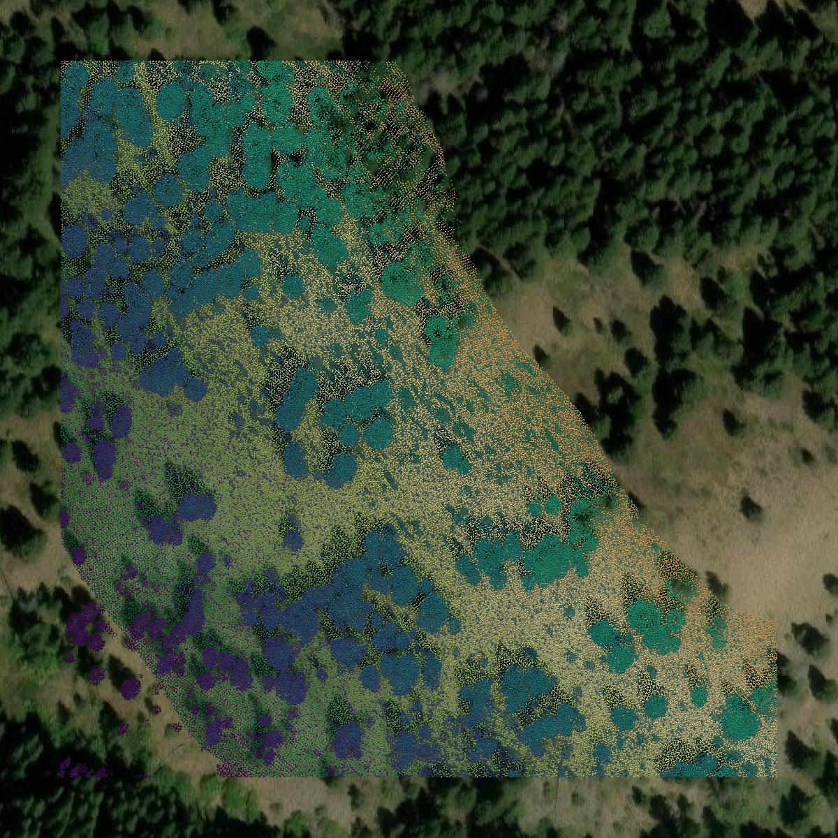 This image shows a LiDAR point cloud in Lincoln County created using GIS data in Equator.