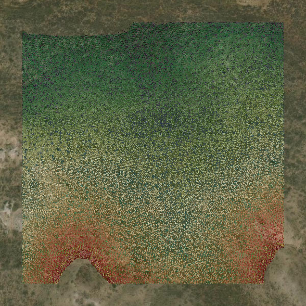 This image shows a LiDAR point cloud in Platte County created using GIS data in Equator.