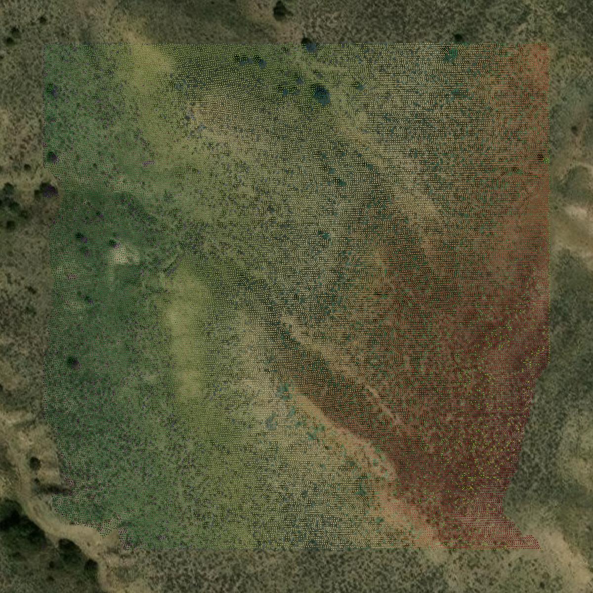 This image shows a LiDAR point cloud in Sheridan County created using GIS data in Equator.