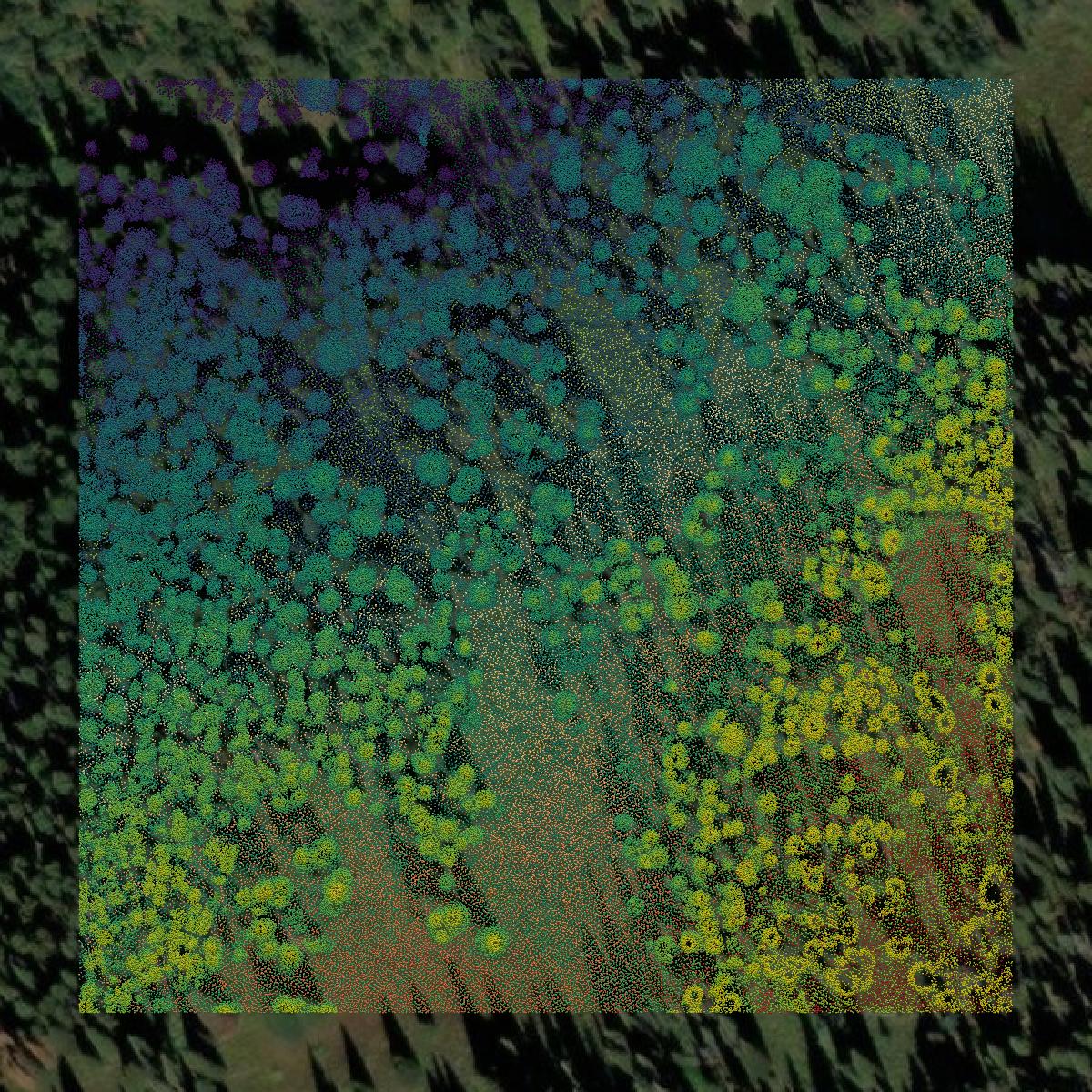 This image shows a LiDAR point cloud in Teton County created using GIS data in Equator.