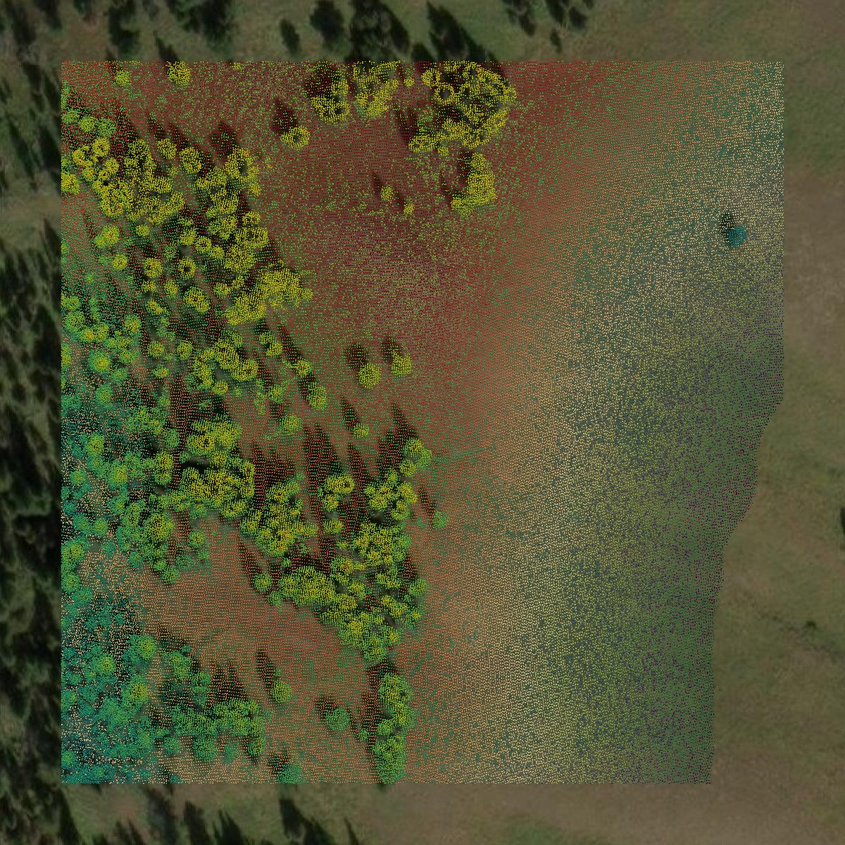 This image shows a LiDAR point cloud in Teton County created using GIS data in Equator.