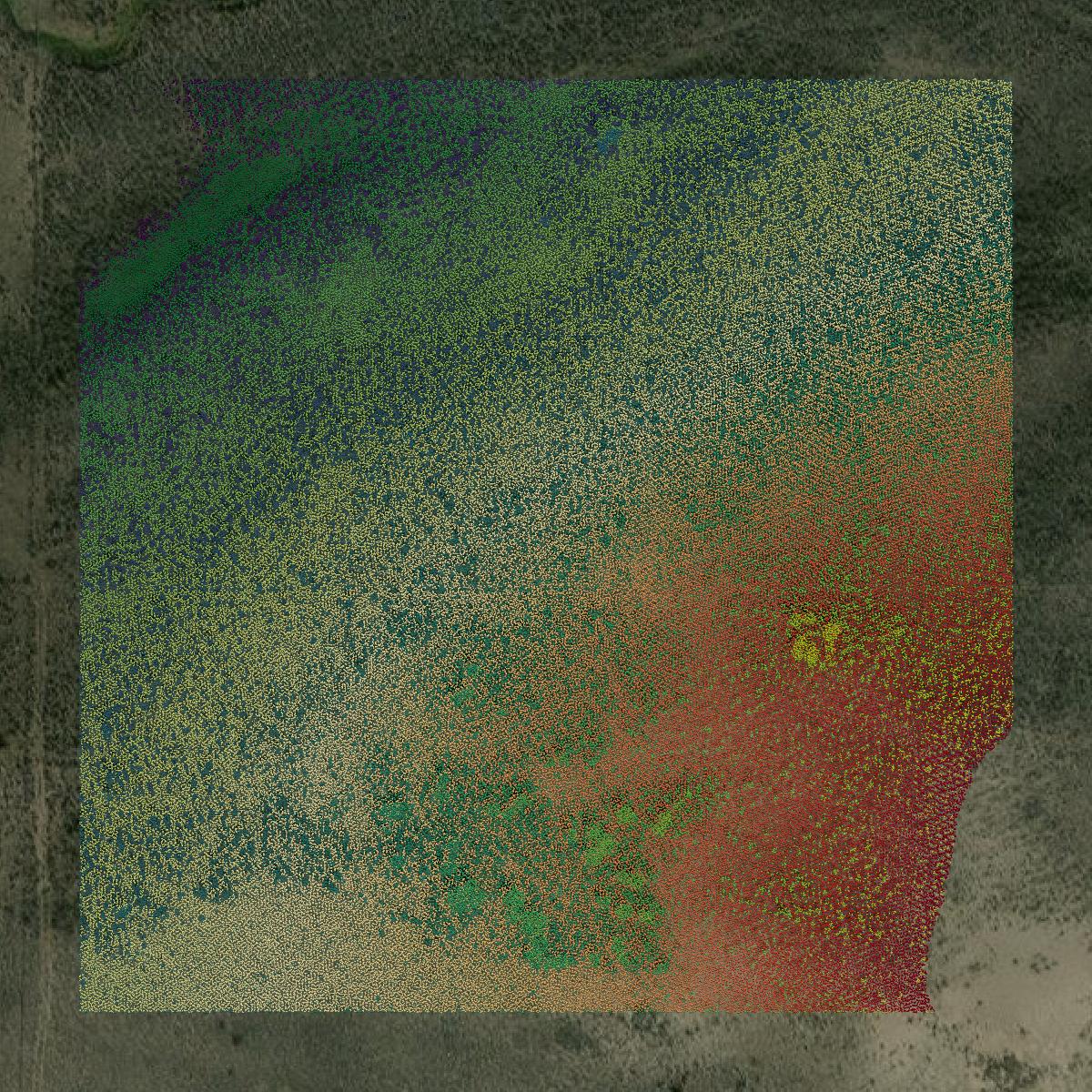 This image shows a LiDAR point cloud in Uinta County created using GIS data in Equator.
